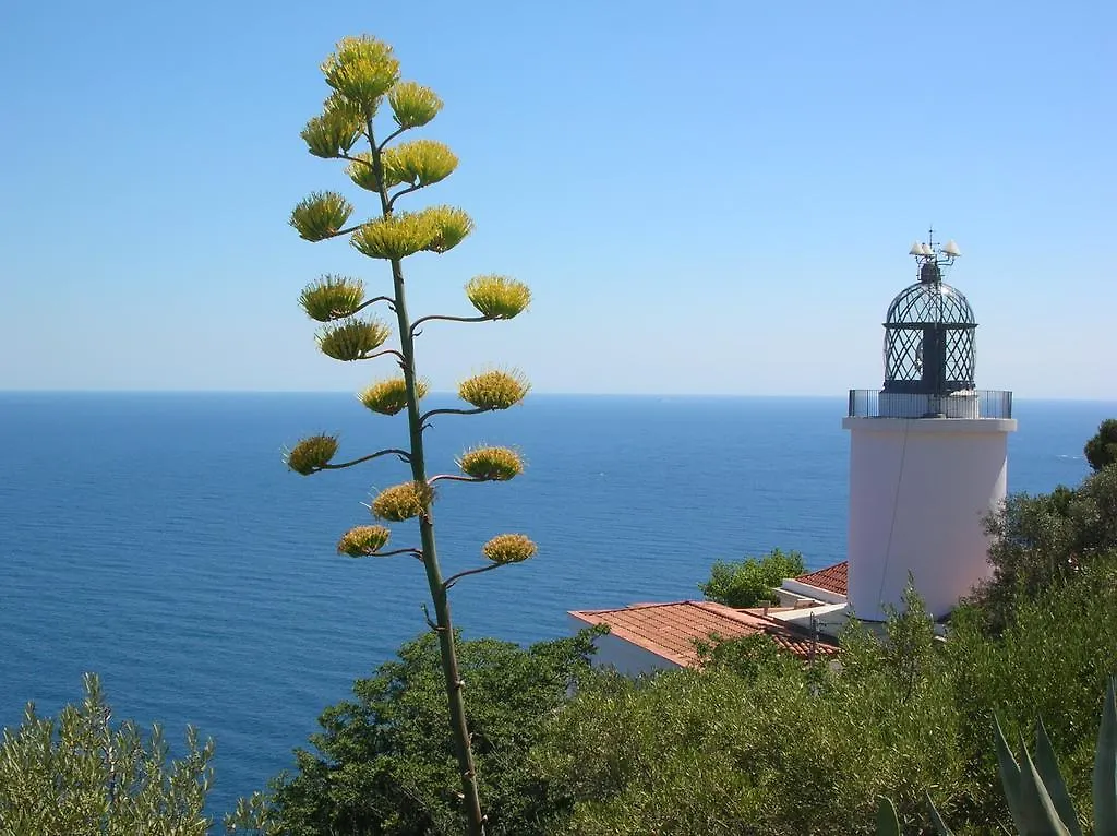 아파트 Apartament Antic Plankton - Calella Palafrugell - Free Parking, Beach, Wifi, Perfect Holidays 칼레냐 데 팔라푸르헬